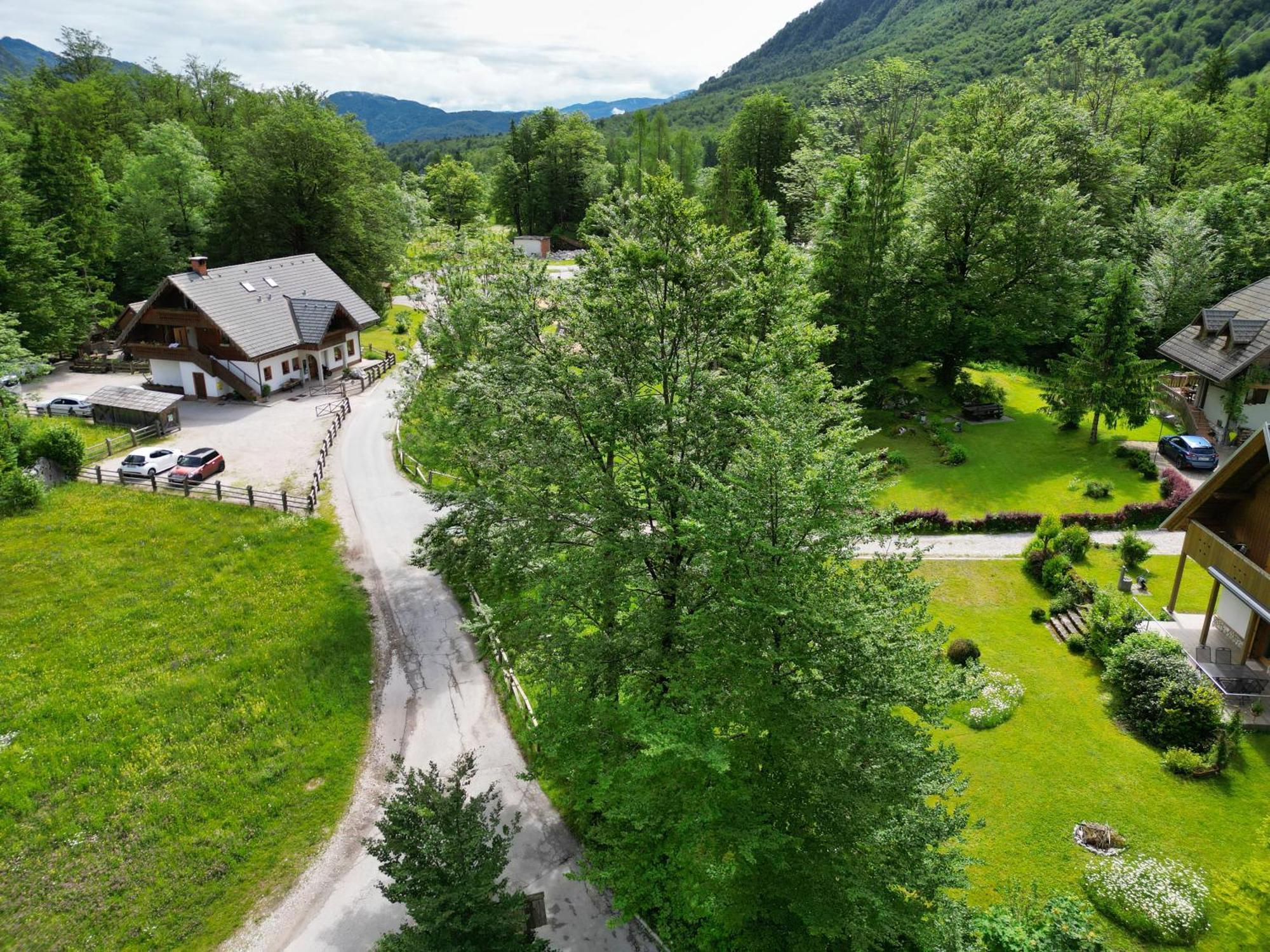 Sobe In Apartmaji Pri Ukcu Bohinj Exteriör bild
